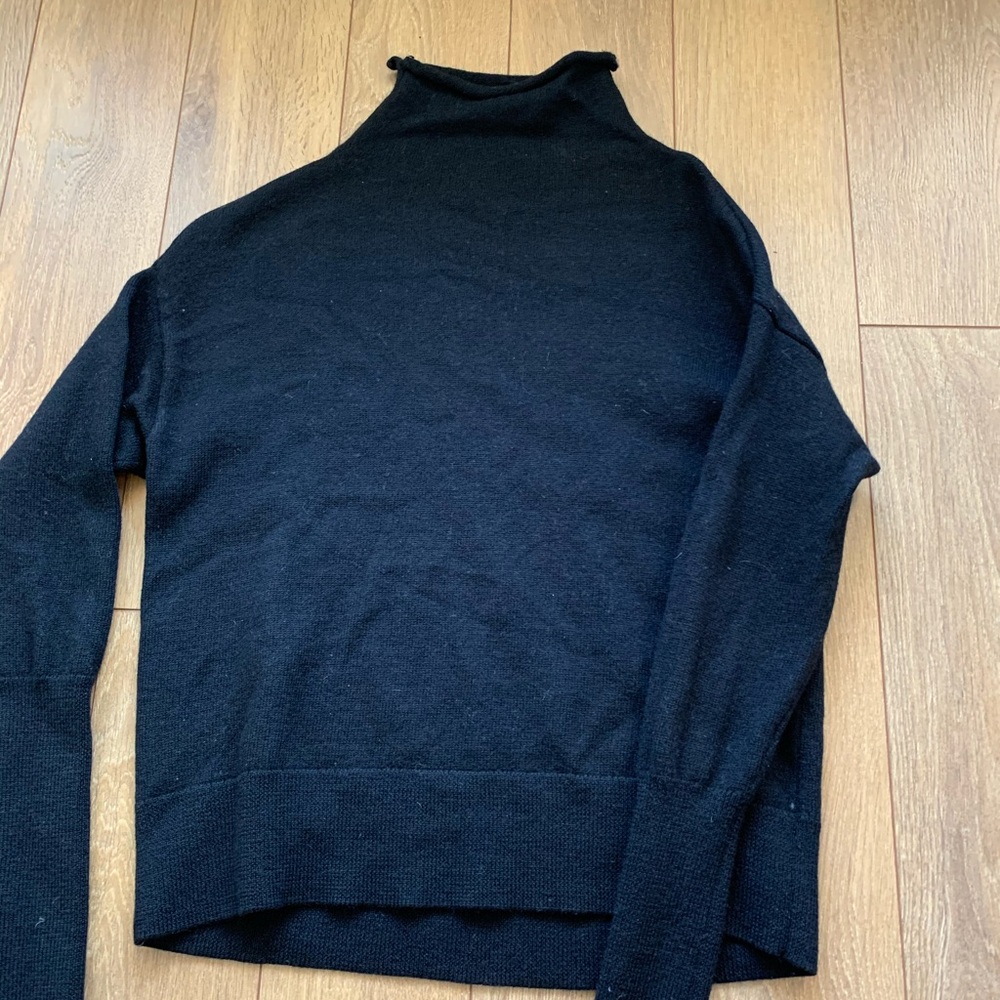 Aritzia turtleneck sweater